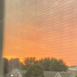 Meet your Posher, Ava